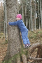 Girl playing in the forest, hugging a spruce (Picea) Child in nature, love of nature, Allgäu,