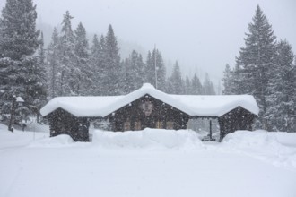 Yellowstone National Park, North America in winter, heavy snowfall at the north-east entrance to