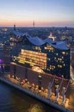 Aerial view of the Elbphilharmonie at sunset with illuminated windows and view over Hamburg and the