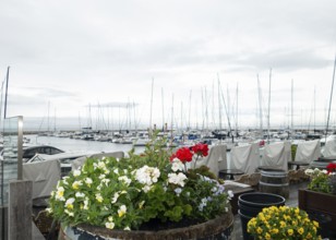 Boat harbour, Baltic Sea, Baltic resort, Kühlungsborn-Ost, Kühlungsborn, Rostock district,