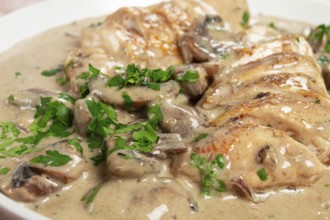 Chicken in cream sauce with mushrooms, on a plate, no people