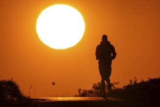 A jogger runs at sunrise on a country lane near Frankfurt am Main, Frankfurt am Main, Hesse,