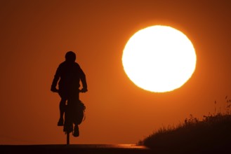A bicycle rides at sunrise on a country lane near Frankfurt am Main, Frankfurt am Main, Hesse,