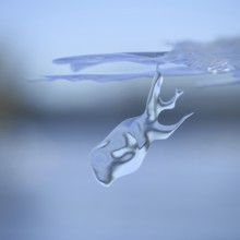 On a dive on the Lower Rhine... Whale (winter flood 2020, 2021), naturally grown ice sculpture