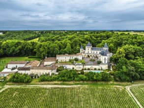 Castle of La Riviere, Vineyard Chateau de La Riviere from a drone, Bordeaux, France