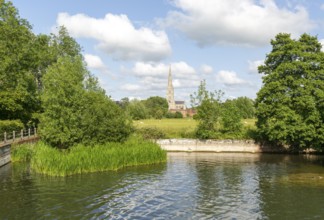 View from Harnham Lock over water meadows to Salisbury cathedral church, Salisbury, Wiltshire,