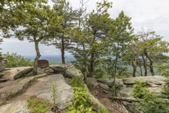 Overlook along the Bald Rock Trail in Cheaha State Park, Alabama, USA