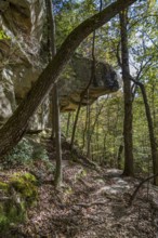 Rock outcropping along hiking trail in Tishomingo State Park in northeast Mississippi