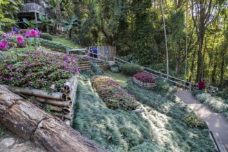 Mae Fah Luang Gardens within the Doi Tung tourist attraction in Chiang Rai, Thailand