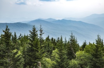 Hazy Blue Ridge Mountains in the distance behind evergreen trees near Clingman's Dome in Tennessee