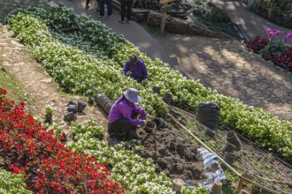 Tourists walking past colorful flowers and lush gardens while laborers maintain the grounds of the