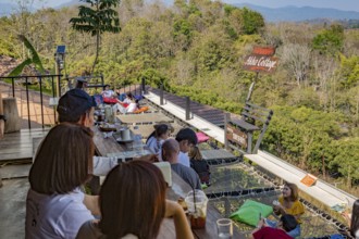 Customers eat, drink and relax on a net suspended over the hillside at the Akha Cottage restaurant
