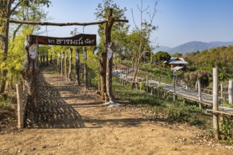 Walkway at the Akha Cottage coffee shop and restaurant in Chiang Rai Thiland asks What is your mood