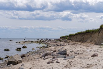 Beach with cliffs Grossenbrode Baltic Sea Germany