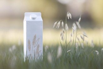 Minimalist oat milk carton with pastel oat illustrations set against a sunlit meadow background.