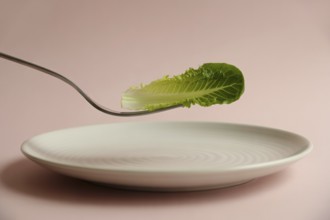 Minimalist close-up of fork holding lettuce leaf above white plate on pink background. Concept of