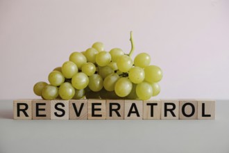 Fresh green grapes beside wooden blocks spelling Resveratrol. Clean studio image highlighting