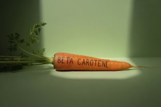 Orange carrot with beta carotene inscribed on its surface. Studio image highlighting nutrient
