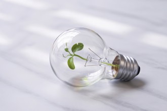 Light bulb with green sprout growing inside. Symbol of sustainable innovation and eco-friendly