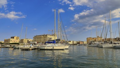 Several sailing boats moored in a marina, surrounded by a sunny city view, boat trip around the