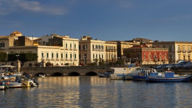Harbour with fishing boats and colourful historic buildings in the warm evening light, boat trip