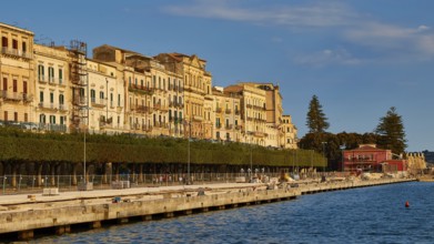 Waterfront with historic buildings and trees under a blue sky, Ortigia Island, Isola di Ortigia,