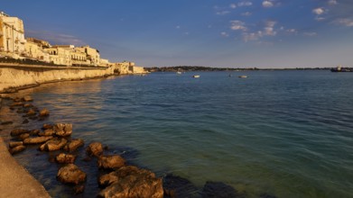 Coastline with rocks and buildings in the warm evening light under a clear sky, Ortigia Island,