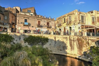 HDR, Largo Aretusa, Fonte Aretusa, Bridge over a pond with lush vegetation and historic buildings