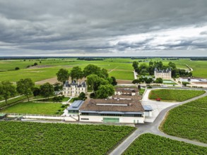 Chateau Pichon Longueville Comtesse de Lalande Vineyard and Chateau Pichon Longueville Baron