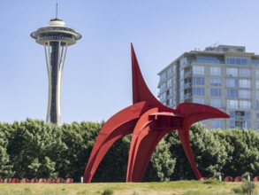Olympic Sculpture Park with Space Needle in the background, Seattle, Washington, USA, North America