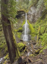 Marymere Falls waterfall, Lake Crescent, Olympic National Park, Washington, USA, North America