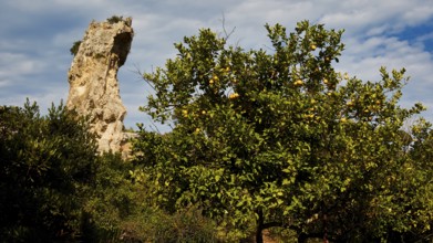 Large rock towering over a flowering tree in a natural setting under a cloudy sky, Neapolis