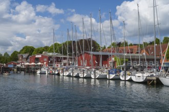 Sailing boats in the harbour, building, marina, Eckernförde, Baltic Sea, Schleswig-Holstein,