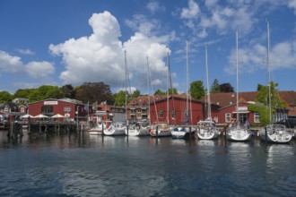 Sailing boats in the harbour, building, sea rescue, marina, Eckernförde, Baltic Sea,