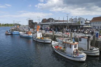 Fishing boats in the harbour, Eckernförde, Baltic Sea, Schleswig-Holstein, Germany