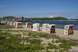 Beach chairs on the sandy beach, Kurstrand, Eckernförde, Baltic Sea, Schleswig-Holstein, Germany
