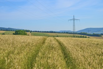 Wide golden grain fields with electricity pylon, blue sky and hilly landscape, summer, Germerode,