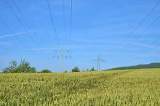 Wide wheat field under blue sky, crossed by power lines, summer, Germerode, Geo nature park Park