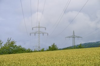 Crop field under cloudy sky with electricity pylons, summer, Germerode, Geo nature park Park
