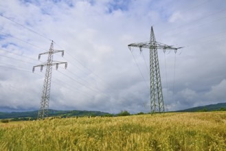 Crop field with electricity pylons, under a cloudy sky, summer, Germerode, Geo nature park Park