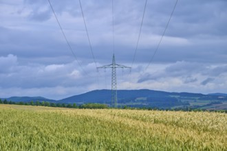 Crop field with a power pole under a cloudy sky, summer, Germerode, Geo nature park Park