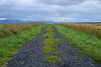 Field path under a cloudy sky in a rural setting, summer, Germerode, Geo nature park Park