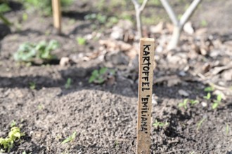 Outdoor exhibition on agriculture and cultivation in front of the Futurium next to the Federal
