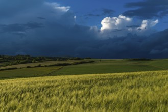 Dramatic cloudy sky with approaching storm and last rays of sunshine, Frankenhain, dark cloud wall,