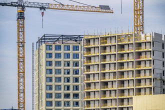 Construction of over 920 student flats at Cambridgelaan in the Science Park, University of Utrecht,