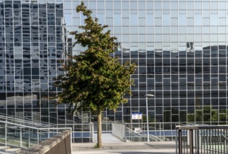 Reflecting facade of the Rabobank building at the central station, Utrecht Centraal, Netherlands