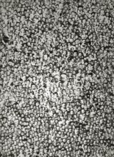 Millions of Chinese babies, 1930s, A dense crowd shows many faces in a black and white picture,