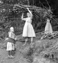 Three children fetching wood from the forest, 1920s, Girls in the forest, one of them carrying wood