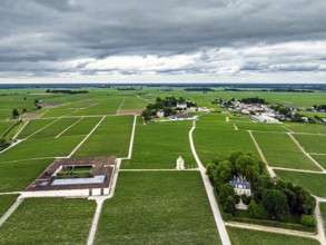 Chateau Latour Vineyard and grape fields around Pauillac from a drone, Bordeaux, Gironde,