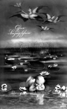 Baby lying on a leaf, 1910, A baby lies on a water lily among flying storks in a surreal